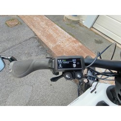 RIESE & MULLER HOMAGE4 GT VARIO HS